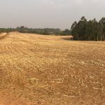 Fazenda em Sacramento