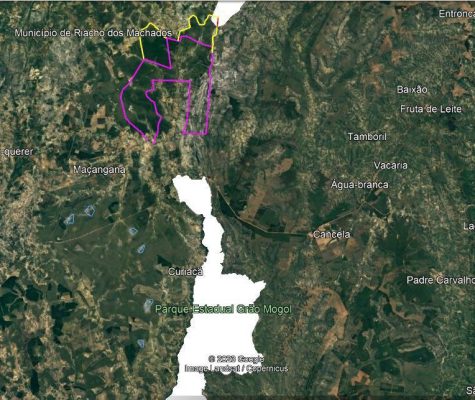 Fazenda 363 hectares à venda para plantio em Sacramento-MG-zebu-fazendas-1