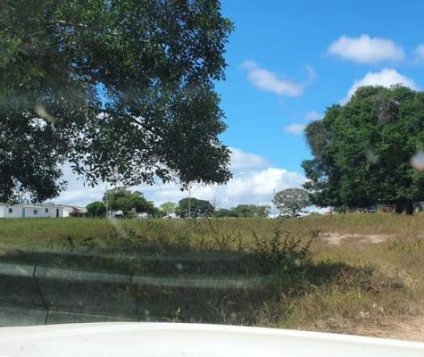 Fazenda 363 hectares à venda para plantio em Sacramento-MG-zebu-fazendas-10