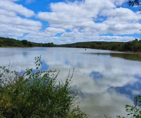 Fazenda 363 hectares à venda para plantio em Sacramento-MG-zebu-fazendas-11