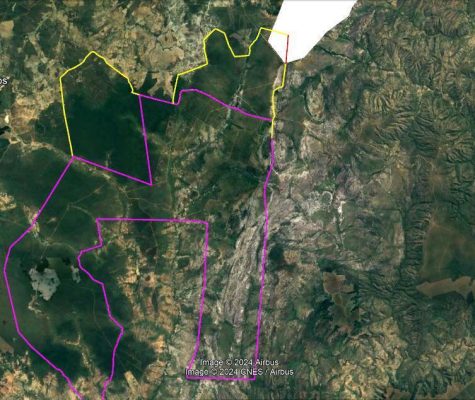 Fazenda 363 hectares à venda para plantio em Sacramento-MG-zebu-fazendas-3