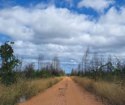 Fazenda 363 hectares à venda para plantio em Sacramento-MG-zebu-fazendas-4