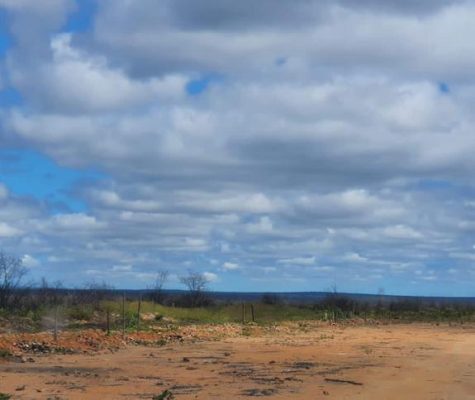 Fazenda 363 hectares à venda para plantio em Sacramento-MG-zebu-fazendas-5