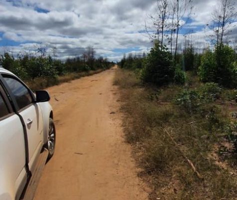 Fazenda 363 hectares à venda para plantio em Sacramento-MG-zebu-fazendas-6