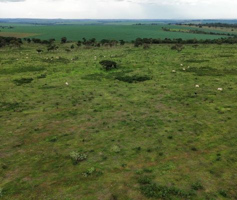 Fazenda de Dupla Aptidão Perto de Ituiutaba/MG