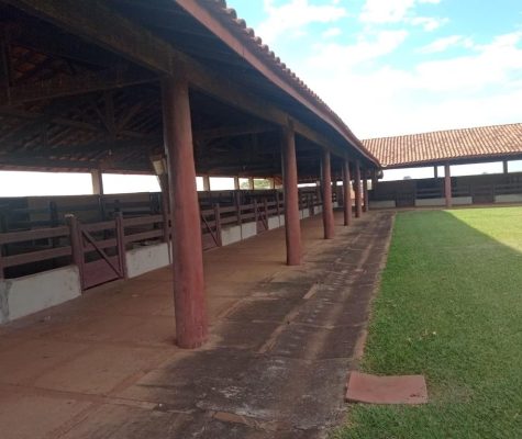 Fazenda Nova Trindade com 106 Alqueires