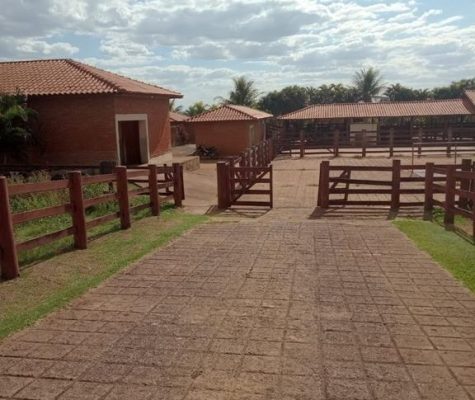 Fazenda Nova Trindade com 106 Alqueires