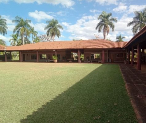 Fazenda Nova Trindade com 106 Alqueires