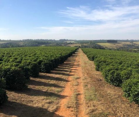 fazenda sentido uberaba 23km de araxa