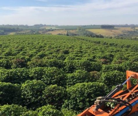 fazenda-sentido-uberaba-23km-de-araxa (4)